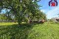 House 47 m² Sluck, Belarus
