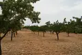 Grundstück  el Fondo de les Neus Hondon de las Nieves, Spanien