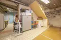 Established business 132 m² in Vilnius, Lithuania
