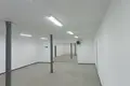 Lager 8 zimmer 232 m² in Pleschtschanizy, Belarus
