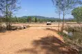 Land  Takua Thung, Thailand