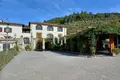 Villa 40 rooms 2 755 m² Pelago, Italy