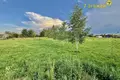 Działki  Dziamidavicki sielski Saviet, Białoruś