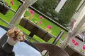 Maison 245 m² Minsk, Bélarus