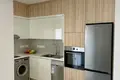 Wohnung 2 Schlafzimmer 77 m² Türkische Gemeinde Nikosia, Nordzypern