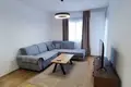 Apartamento 1 habitacion 452 m² Montenegro, Montenegro