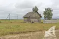 Grundstück 42 m² Telminski sielski Saviet, Belarus