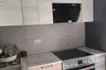 Wohnung 1 zimmer 33 m² Minsk, Belarus
