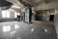 Produktion 1 285 m² in Zarecca, Belarus
