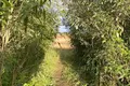 Land  Piasocnaje, Belarus