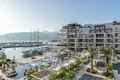 3 bedroom apartment 228 m² Montenegro, Montenegro