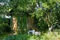 Haus 44 m² Aliachnovicki sielski Saviet, Belarus
