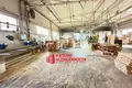 Fabrication 1 351 m² à Kapciouski sielski Saviet, Bélarus