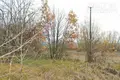 Дом 46 м² Ратайчицкий сельский Совет, Беларусь