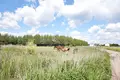 Parcelas 5 159 m² Krosinko, Polonia