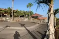 7 bedroom house  San Miguel de Abona, Spain