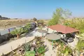 2 bedroom house 145 m² Choletria, Cyprus