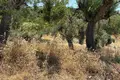 Land 6 662 m² Nikiti, Greece