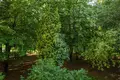 2 room apartment 51 m² Minsk, Belarus