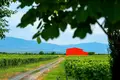 Now available for sale! A new wine factory complex in Kakheti, Telavi Municipality, in the village of Napareuli