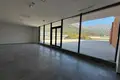 1 bedroom apartment 160 m² in Radanovici, Montenegro