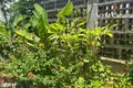 Mieszkanie 7 pokojów 95 m² Garachico, Hiszpania