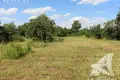 Земельные участки 42 м² Чернинский сельский Совет, Беларусь
