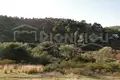 Grundstück 13 800 m² Paliouri, Griechenland