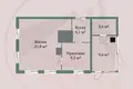 House 37 m² Usyazh, Belarus