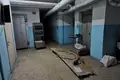 Производство 9 114 м² Орша, Беларусь