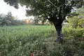 Parcelas , Georgia