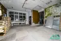 Коммерческое помещение 464 м² Рудня, Беларусь