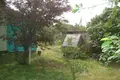 Дом 48 м² Смиловичи, Беларусь