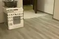 Mieszkanie 3 pokoi 55 m² Batumi, Gruzja