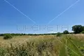 Land 1 250 m² Sisan, Croatia