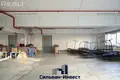 Commercial property 327 m² in Minsk, Belarus