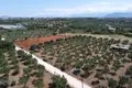 Parcelas  Grecia, Grecia