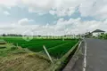 Willa 3 pokoi  Kedungu, Indonezja