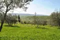 Land 6 000 m² Volterra, Italy