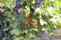 2 room house 50 m² Avgonyma, Greece