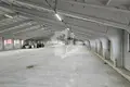 Lager 3 zimmer 600 m² in Aronava Slabada, Belarus