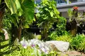 Wohnung 44 m² Choeng Thale, Thailand