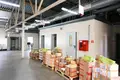 Produktion 631 m² in Suharukia, Belarus