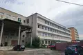 Производство 448 м² Борисов, Беларусь