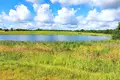 Land  Voropaevskiy selskiy Sovet, Belarus