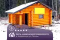 Haus 19 m² Januskavicki sielski Saviet, Belarus