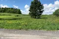 Dom  Ozyaritska Slabadski rural council, Białoruś