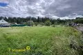 Działki  Zodzinski sielski Saviet, Białoruś