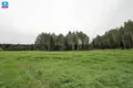 Land  Gulbiniskiai, Lithuania