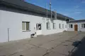 Commercial property 1 038 m² in Miedzyborow, Poland